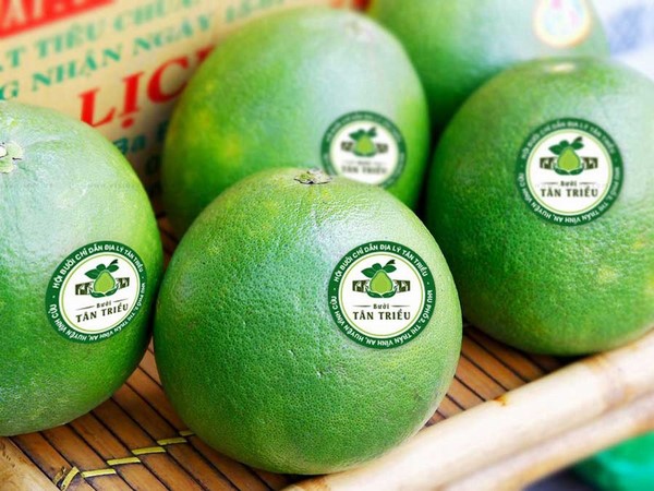  Giải pháp nhãn mác cho nông sản 